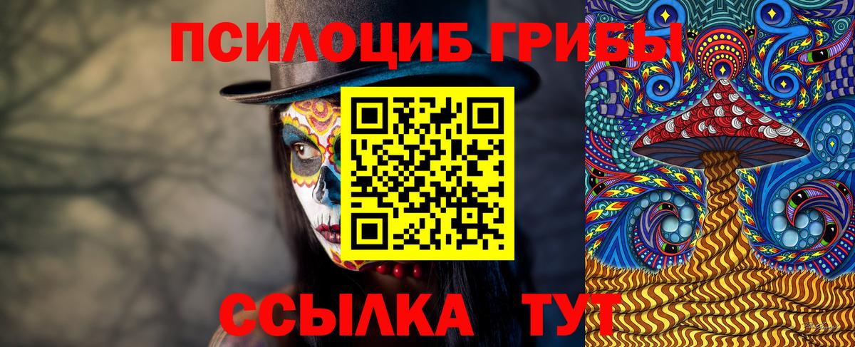Галлюциногенные грибы Psilocybine cubensis  Вход с VPN  Псилоцибиновые грибы мухоморы  Белорецк 