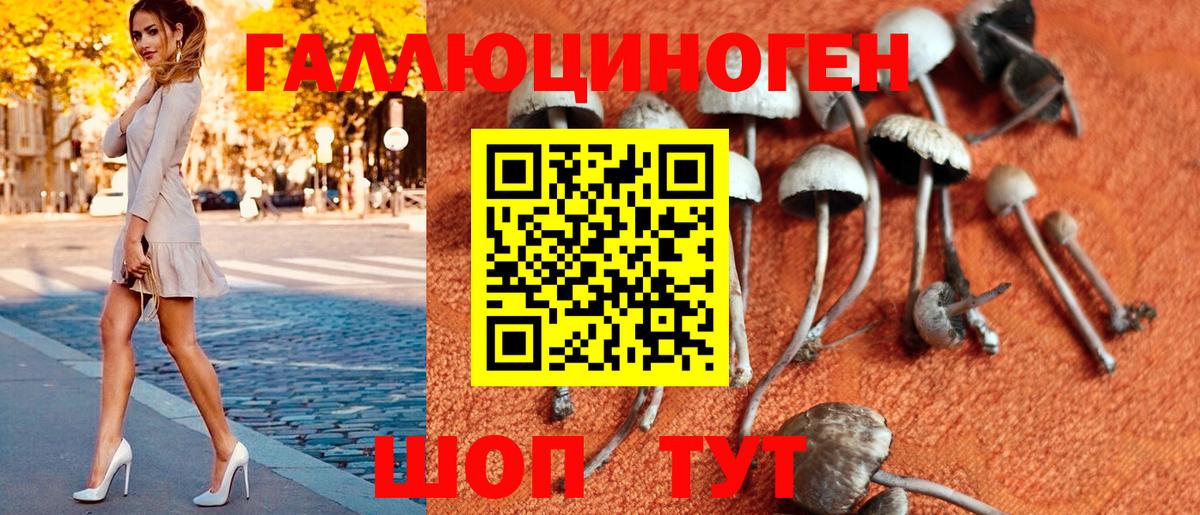 Псилоцибиновые грибы Magic Shrooms Белорецк